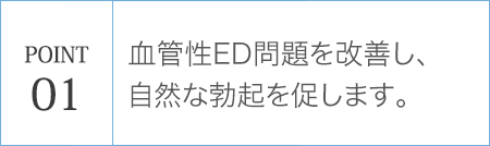 POINT01 血管性ED問題を改善し、自然な勃起を促します。